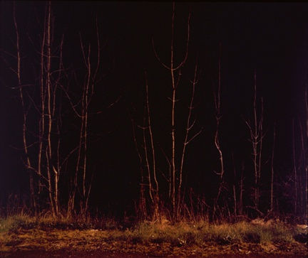 Installation view of PAUL SEAWRIGHT.