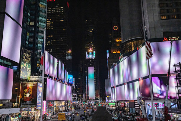 Lifeworld, New York, On-site, 2024