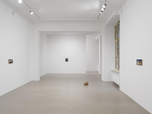 Image of Rodrigo Hernández: stars around this beautiful moon hide back their luminous form.