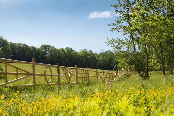 analia saban fence commission image