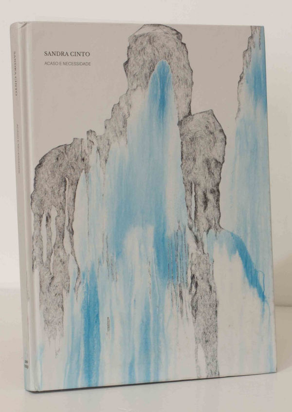 book cover for Sandra Cinto Chance and Necessity