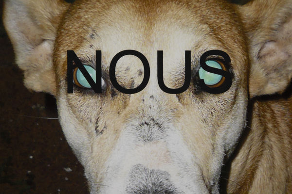 Sortie Presse 13 029