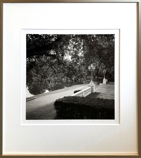 Garie Waltzer, Fine Art Garden #3