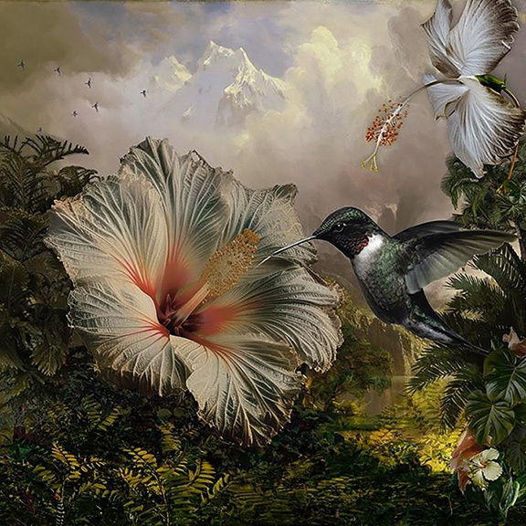 Ryn Clarke, Hibiscus, 2024