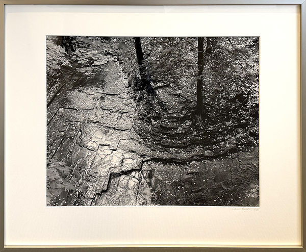 Linda Butler, Shale Textures, North Chagrin