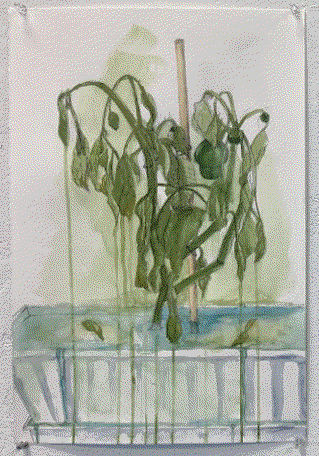 Liana Gonzalez, Drowned Plant Series 1, 2021