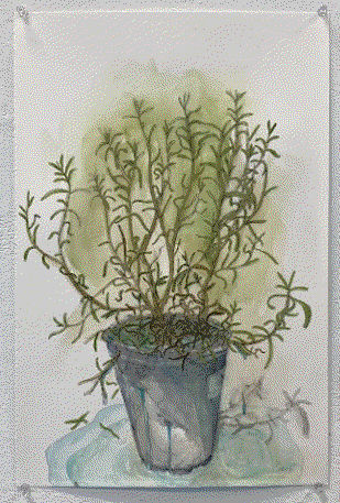 Liana Gonzalez, Drowned Plant Series 2, 2021