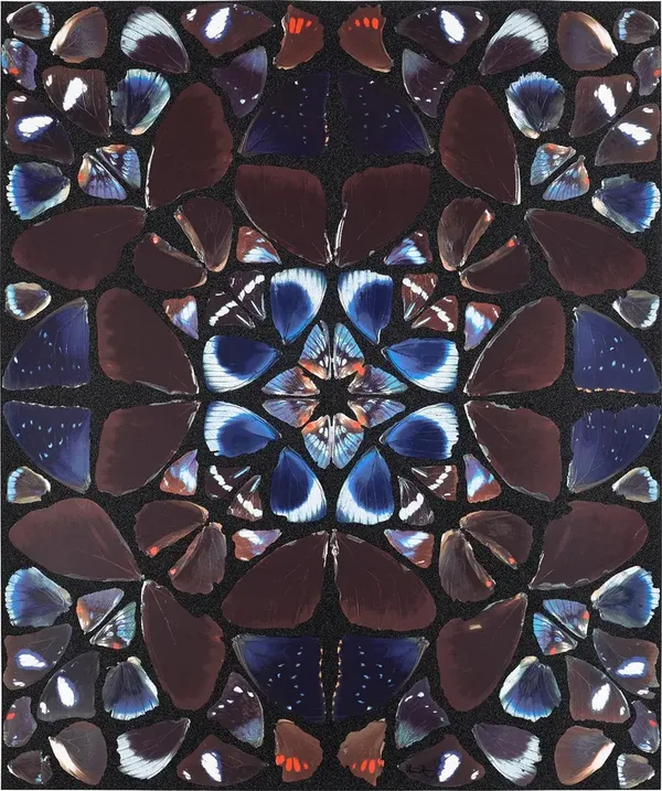 15 Years Of The Drang Gallery