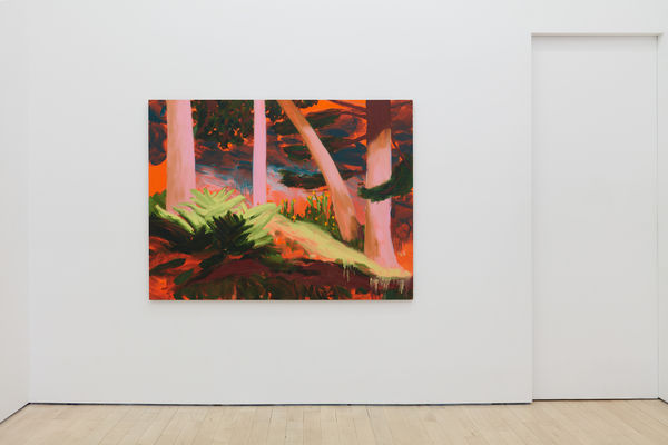 Nicole Wittenberg Tennis Elbow 93 Installation View 2
