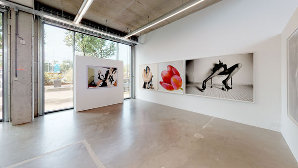 'I See You in Everything'