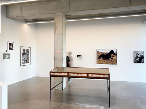 Installation view 'One of A Kind'