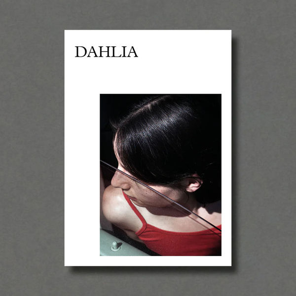 'Dahlia' 2024