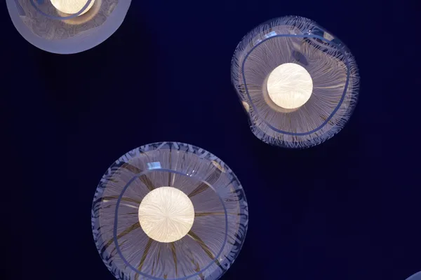 Artefact 2022 Vezzini Chen Robert Chadwick 10