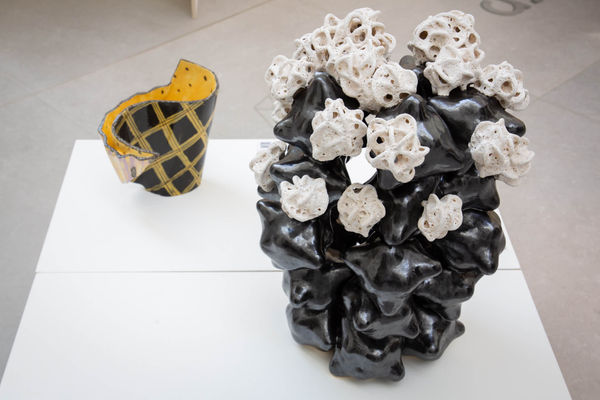 Focus 20 Ting Ying Gallery 08 Robert Chadwick