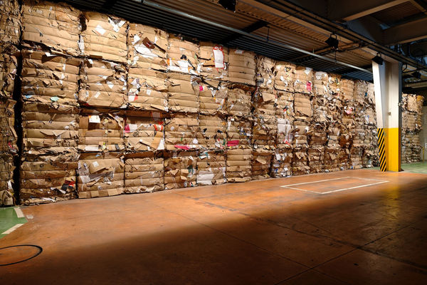 第十五屆里昂當代藝術雙年展 — 匯流之所, 周育正