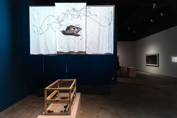 群島資料庫 #14：爬行痕跡的逆返與審視 — 張恩滿的非洲大蝸牛計劃, 張恩滿