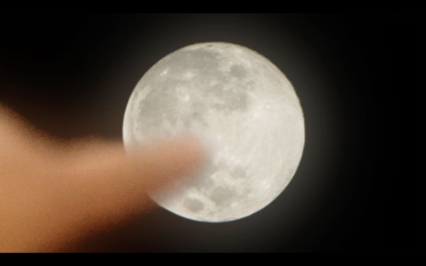 宮津大輔：25 年錄像收藏展 - 東亞與東南亞的境遷信號, 蔡佳葳