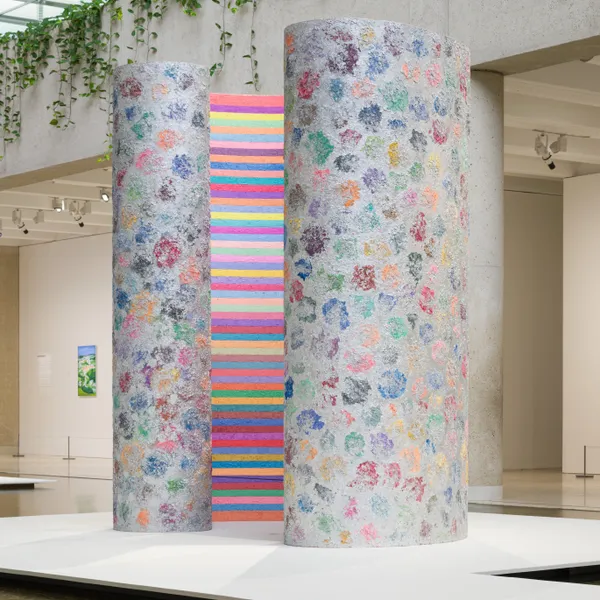 昆士蘭現代美術館｜探討關於第十一屆亞太當代藝術三年展之彌載映作品