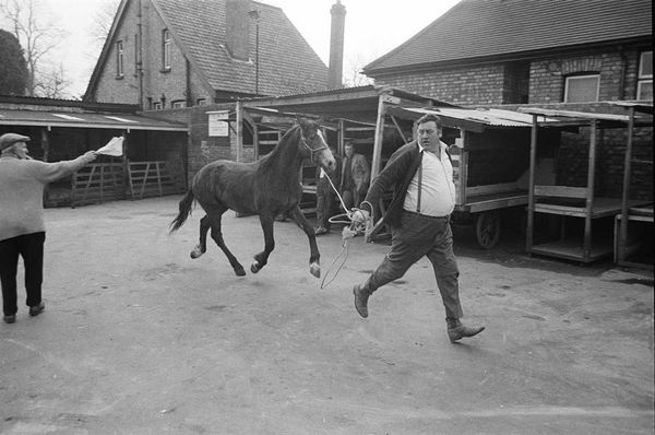 Southall horse market, 1970s