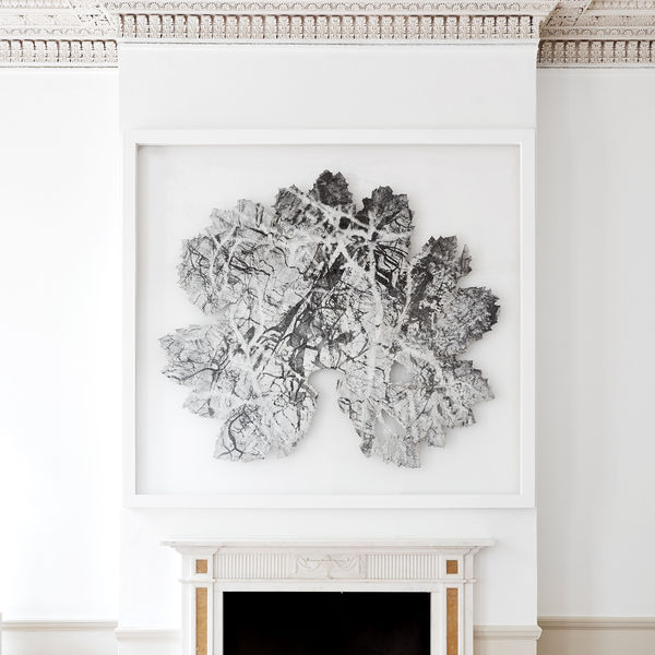 2020 06 19 Tristan Hoare8095