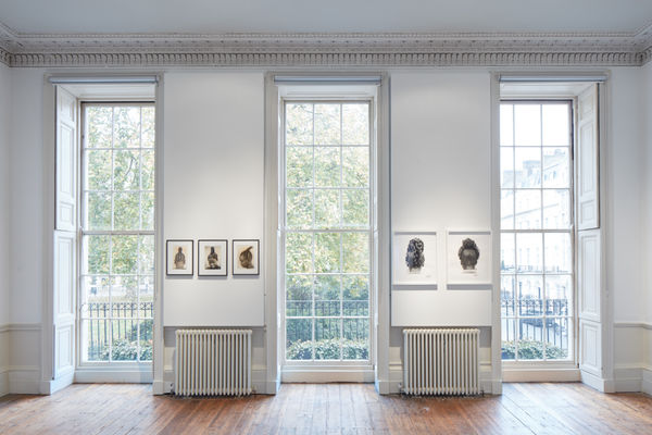 Tristan Hoare Studio Africa 02