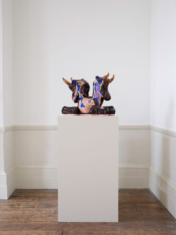 Sexing The Cherry Install 09