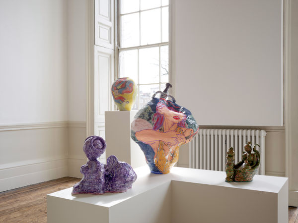 Sexing The Cherry Install 18