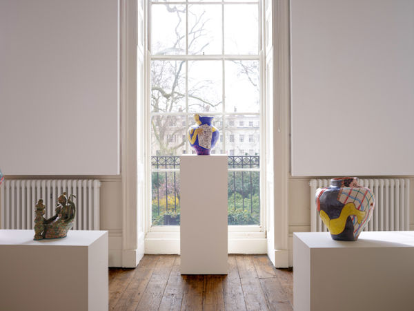 Sexing The Cherry Install 19