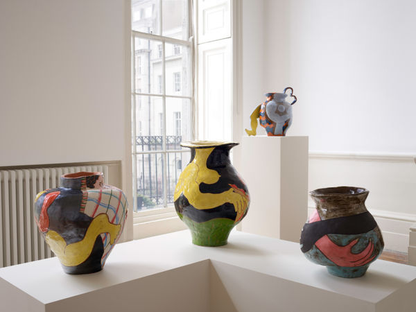 Sexing The Cherry Install 20