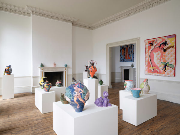 Sexing The Cherry Install 27