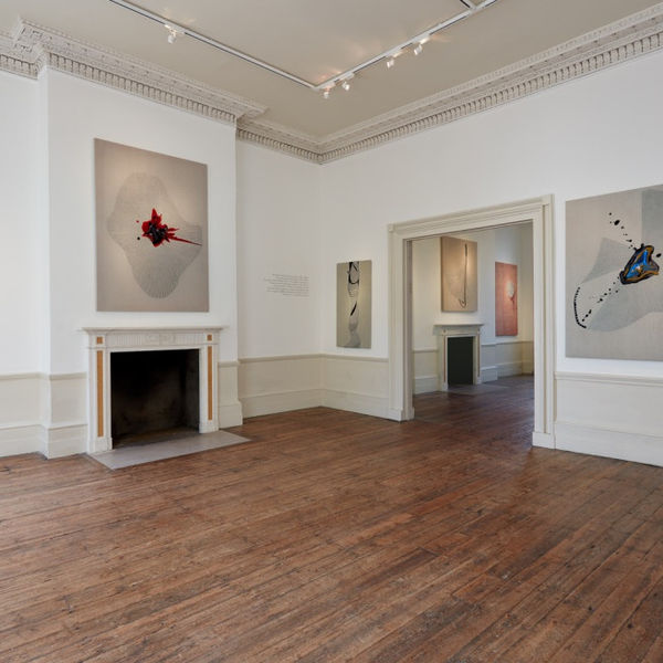 Emotional Fields Carolina Mazzolari