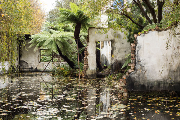 Time Out reviews Alex Hartley: After You Left