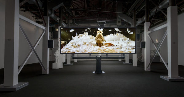 Doug Aitken in Future Shock at SITE Santa Fe