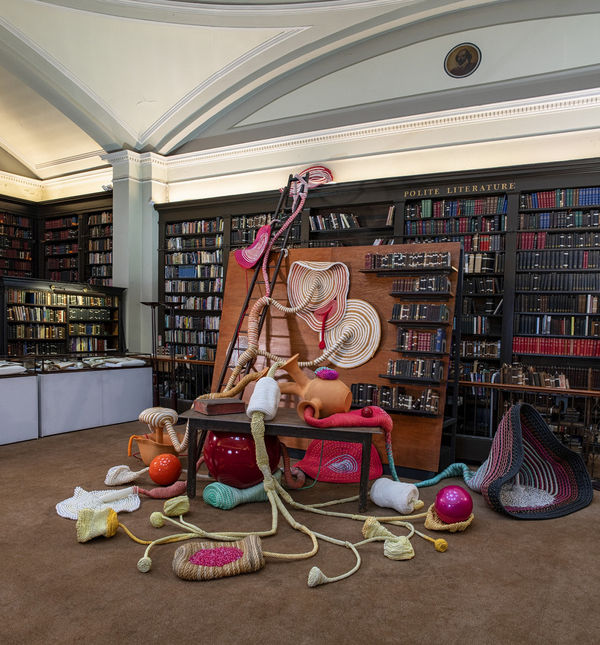 Maria Nepomuceno: Refloresta!