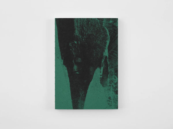 Kudzanai-Violet Hwami