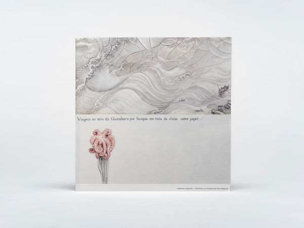 Adriana Varejão: Historeas e margens (MAM)