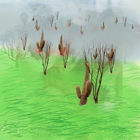 lets play hide and seek