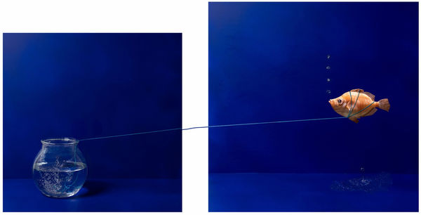 Kaat Stieber, Explorer