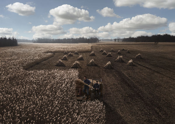 Ezra Böhm, Rietsnijder