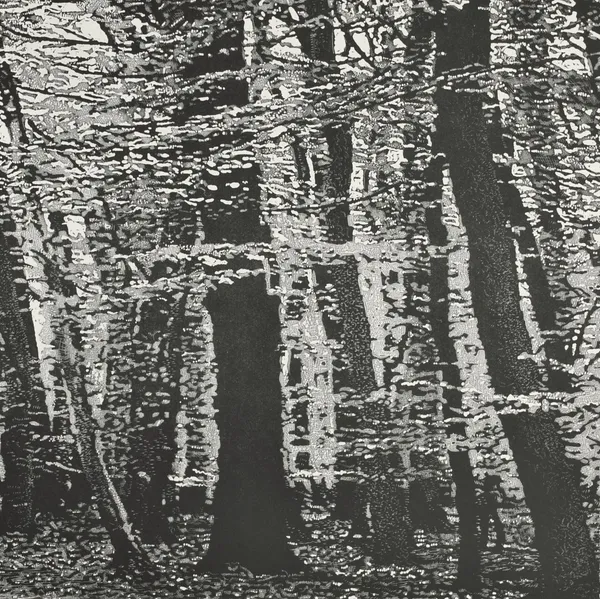 Trevor Price - Woodland Walk