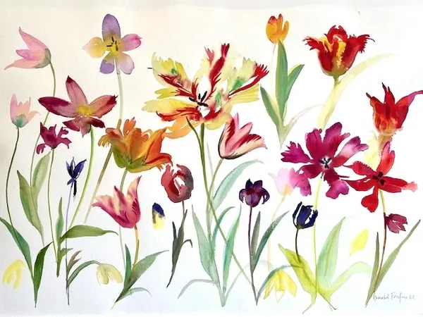 Annabel Fairfax - BEARDED IRISES V