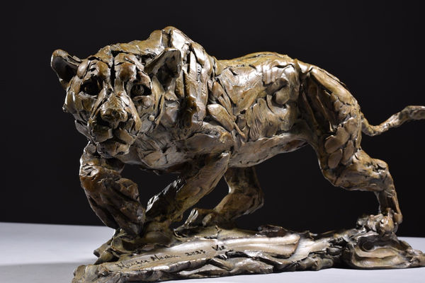 Hamish Mackie - WARTHOG , 2023