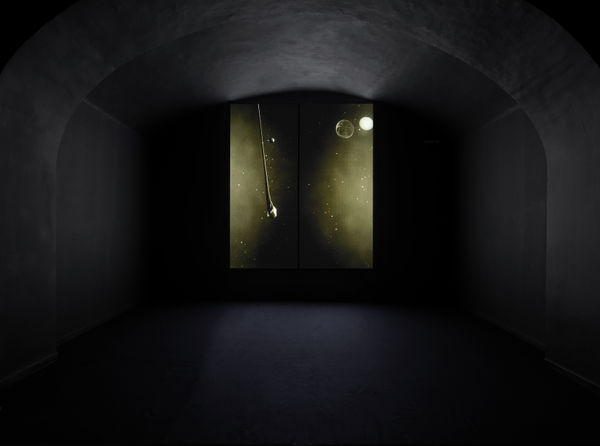 Beatrice Pediconi, Dimensioni Variabili, 2016