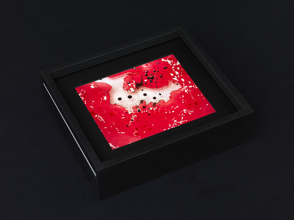 Beatrice Pediconi, Variabile #11, 2016