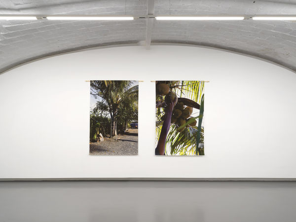 Installation View, Ci piacerebbe essere altrove, 2025 z2o Sara Zanin Ph. Dario Lasagni