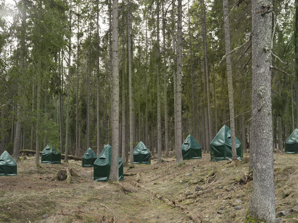 Silvia Camporesi, Kistefos Sculpture Park, 2025, Inkjet print on Hahnemühle FineArt Pearl paper mounted on Dibond, painted wooden frame, UV70 museum glass. Edition: 1/5 + 2 A.P. cm 60 × 80 (framed: cm 64 x 84) Courtesy of the artist and z2o Sara Zanin