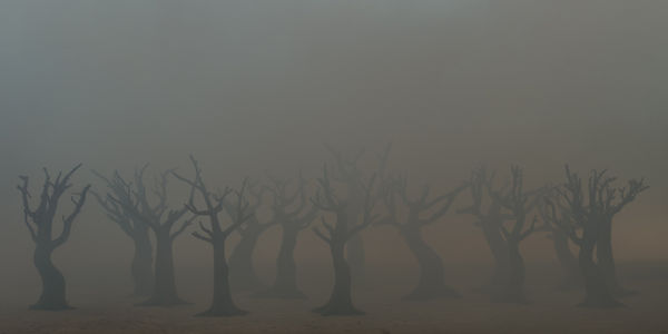 Silvia Camporesi, Unheimlich #1, 2025, Inkjet print on Hahnemühle FineArt Pearl paper mounted on Dibond, painted wooden frame, UV70 museum glass. Edition: 1/5 + 2 A.P. cm 75 x 150 (framed: cm 79 x 154) Courtesy of the artist and z2o Sara Zanin