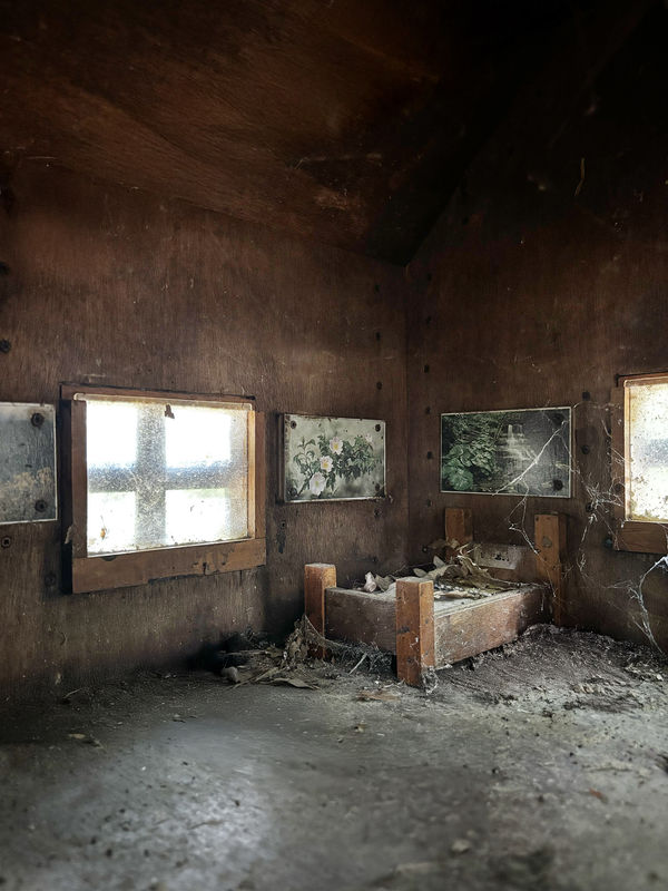 Silvia Camporesi, Unheimlich #2, 2025, Inkjet print on Hahnemühle FineArt Pearl paper mounted on Dibond, painted wooden frame, UV70 museum glass. Edition: 1/5 + 2 A.P. cm 40 x 30 (framed: cm 44 x 34) Courtesy of the artist and z2o Sara Zanin