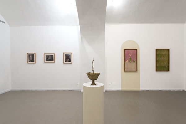 Evgeny Antufiev, Eternal Garden, 2017, installation view at z2o Sara Zanin Gallery