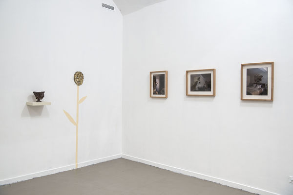 Evgeny Antufiev, Eternal Garden, 2017, installation view at z2o Sara Zanin Gallery